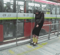 Los GIF más divertidos para empezar bien el lunes 4 puerta cristal caida