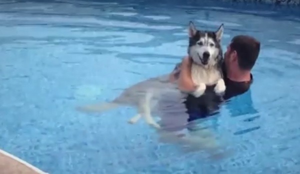 El emotivo ví­deo viral de un dueño y su perro que triunfa en Facebook
