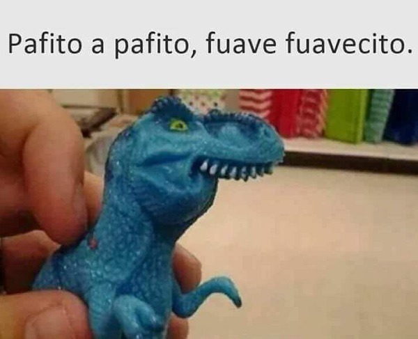 Los memes y GIF más divertidos de la semana 1 Los memes y GIF más divertidos de la semana