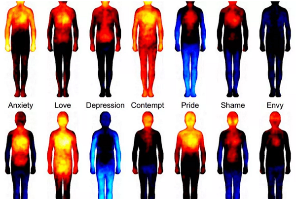 ¿De qué están hechas las emociones? 2 emociones