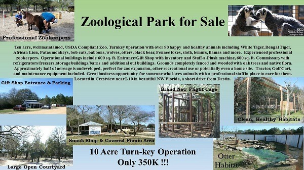 Se vende zoológico por Internet con animales incluidos 2 zoológico internet