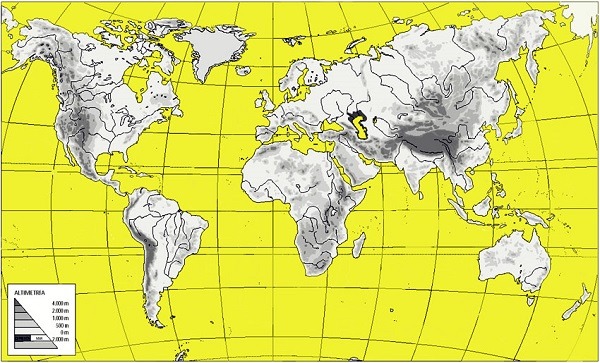 Mapas del mundo mudos