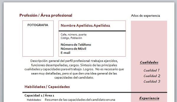 cv funcional