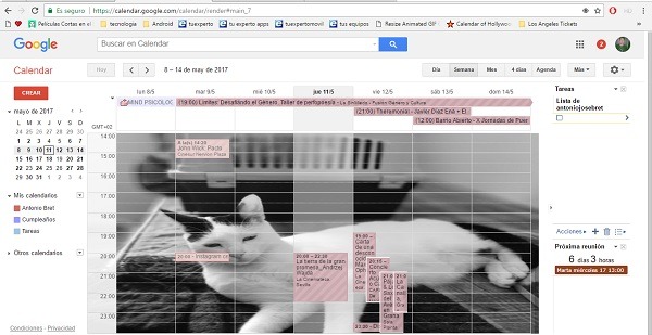 5 funciones útiles del Calendario de Google ocultas a la vista 4 fondo de pantalla google