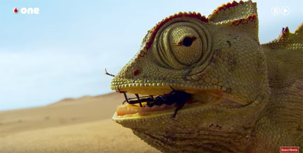 Así se rodaron algunas escenas de Planeta Tierra 2 2 Planeta Tierra 2