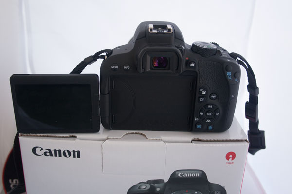 prueba Canon EOS 800D enfoque