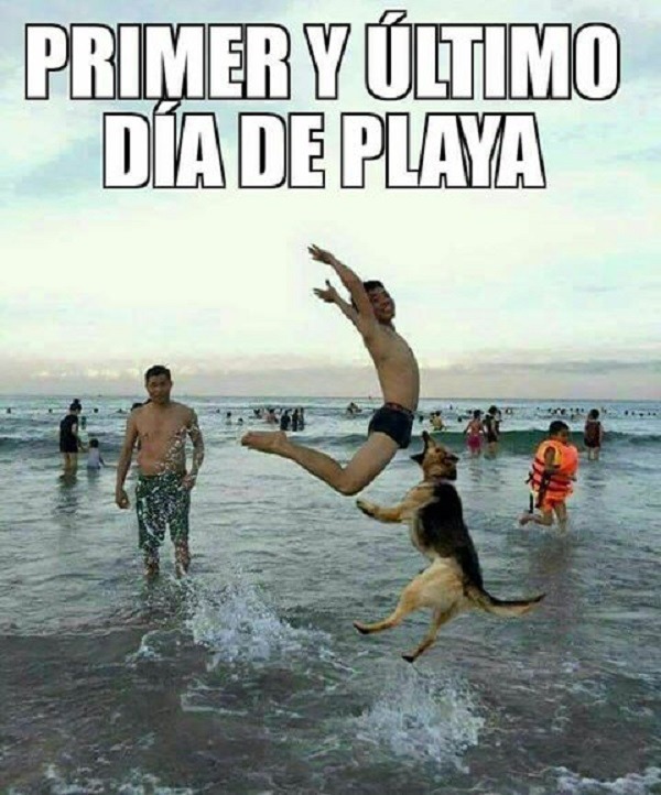 Los mejores GIF y memes de la semana para compartir por WhatsApp 3
