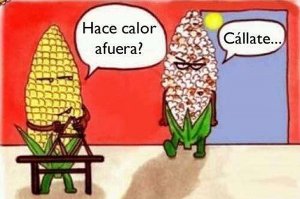 Los mejores GIF y memes de la semana para compartir por WhatsApp 7