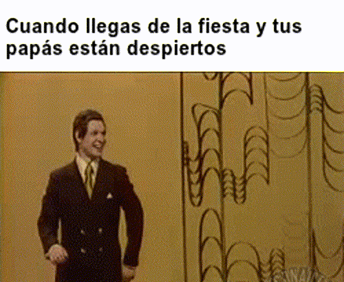 fiesta verano