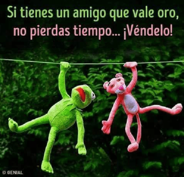 Los mejores Gif y memes de la semana para WhatsApp 7 Los mejores Gif y memes de la semana para WhatsApp 1