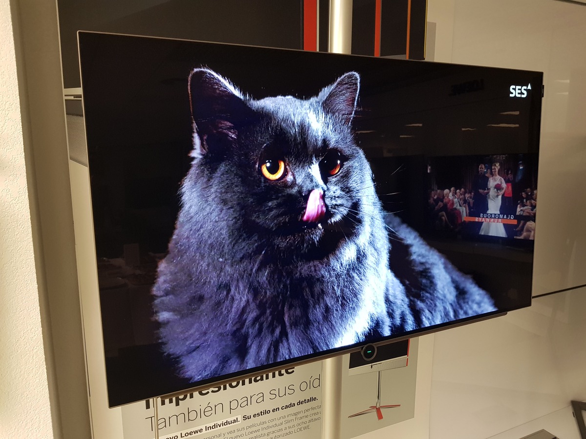 Loewe Bild 4.55, analizamos el televisor OLED exclusivo y a buen precio 16