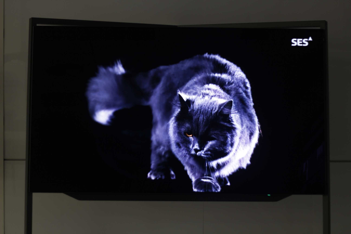 Loewe Bild 9.55, probamos el nuevo televisor OLED más alto de gama 44