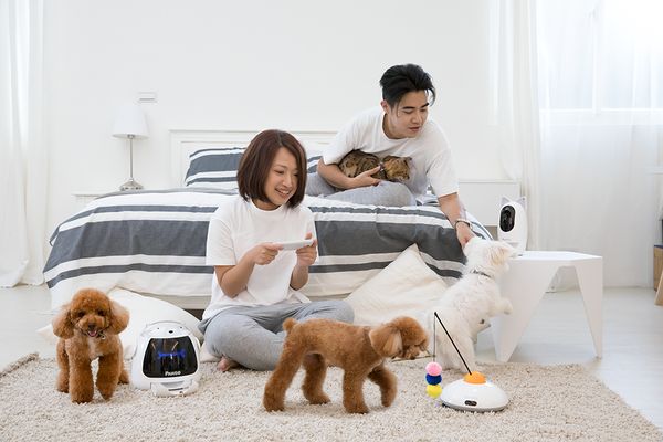 Acer Pawbo, accesorios con premios y cuantificadores para perros y gatos