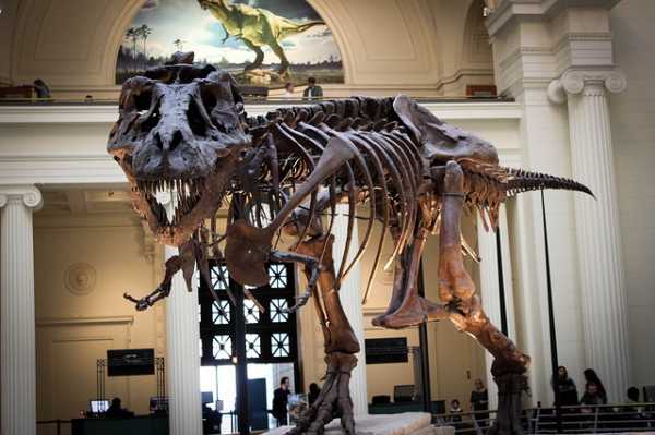 ¿Qué pasó con la clonación? Dos décadas después de la oveja Dolly 4 Jurassic Park