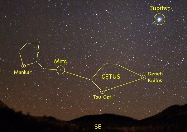 estrella con cuatro planetas