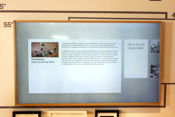 Samsung The Frame, analizamos el televisor que exhibe obras de arte 6