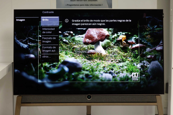 Loewe Bild 5.55 OLED 4K UHD HDR, lo hemos probado 9 Loewe Bild 5 55