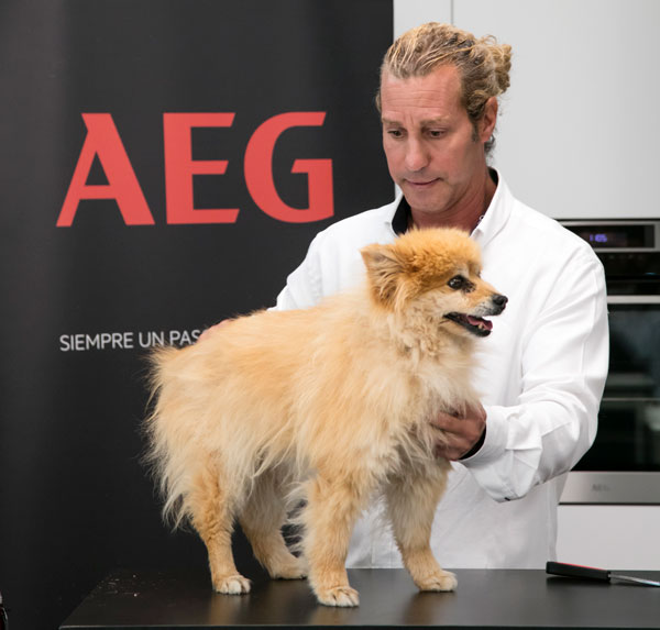 AEG CX7, VX9, VX7 y LX8, aspiradores y escobas para mascotas Capponi