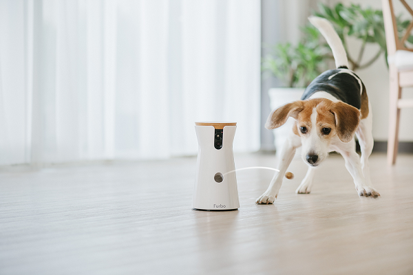 Cámara para Perros Furbo  Cámara para Mascotas con Lanzamiento de Premios  y Alertas Inteligentes