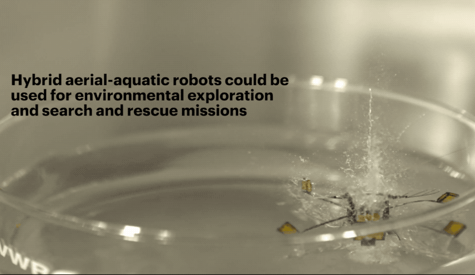 RoboBee, robot del tamaño de un céntimo que vuela y flota en el agua 2 RoboBee, robot del tamaño de un céntimo que vuela y flota en el agua