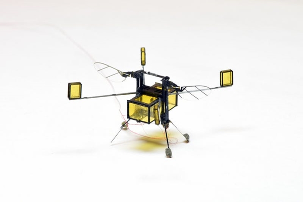 RoboBee, robot del tamaño de un céntimo que vuela y flota en el agua