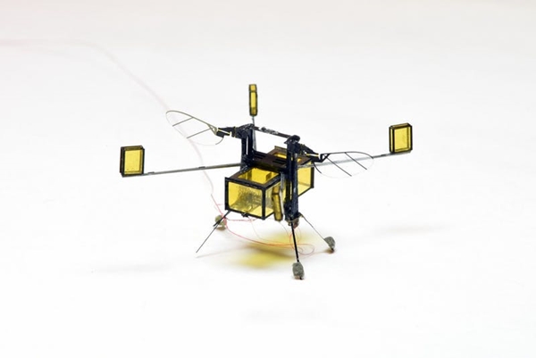 RoboBee, robot del tamaño de un céntimo que vuela y flota en el agua 1 RoboBee, robot del tamaño de un céntimo que vuela y flota en el agua