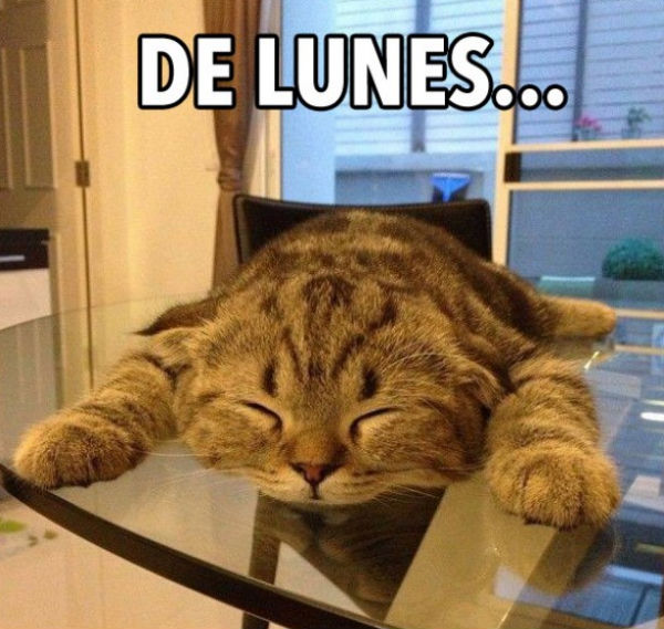 10 memes divertidos para sobrevivir mejor al lunes