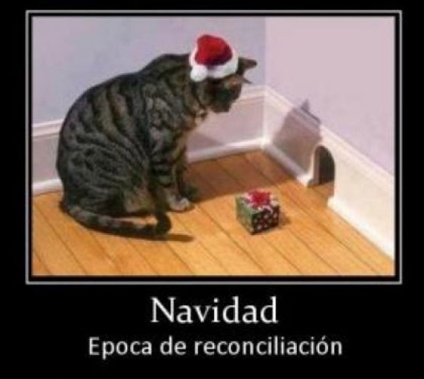 Los memes más divertidos y entrañables para celebrar la Navidad por WhatsApp 7 Los memes más divertidos y entrañables para celebrar la Navidad por WhatsApp 6