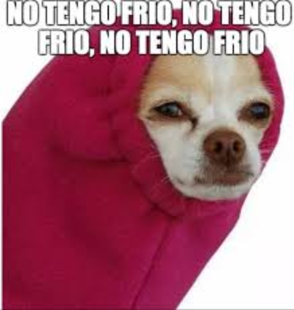 memes ola de frio 