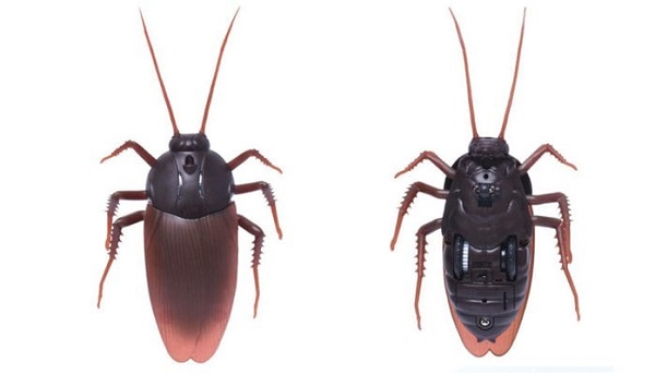 El coche que se convierte en perro y más regalos originales para Navidad 4 cucaracha