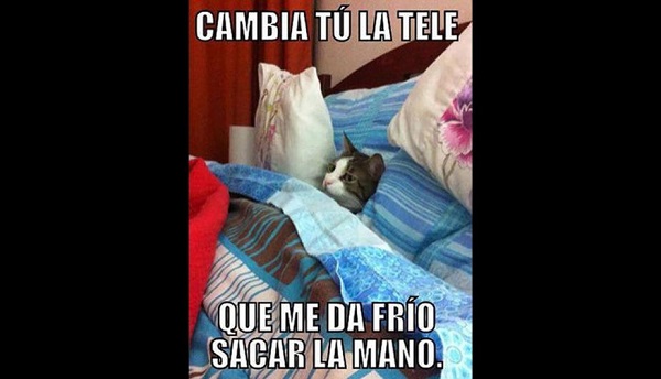 Los mejores memes de la ola de frío para enviar por WhatsApp 2 memes de la ola de frío