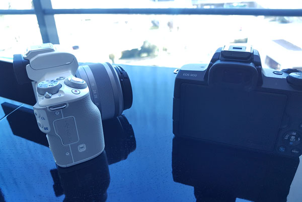 lanzamiento Canon EOS M50 conectividad