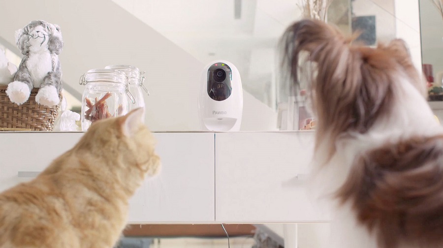 Acer PAWBO+, cámara inalámbrica para mascotas