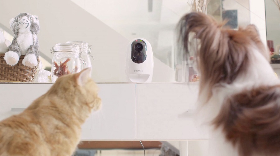 5 regalos tecnológicos de menos de 200 euros para el Día del Padre 6 Acer PAWBO+, cámara inalámbrica para mascotas