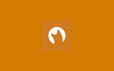 Curious Cat, qué es esta red social de preguntas y cómo funciona