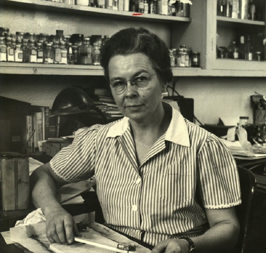 10 mujeres que han hecho historia en el mundo de la tecnología 4 edith clarke