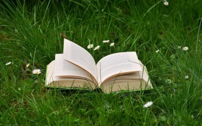 Casi la mitad de los españoles confiesa leer uno o ningún libro al año