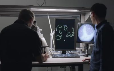 Google crea un microscopio de Realidad Aumentada para combatir el cáncer