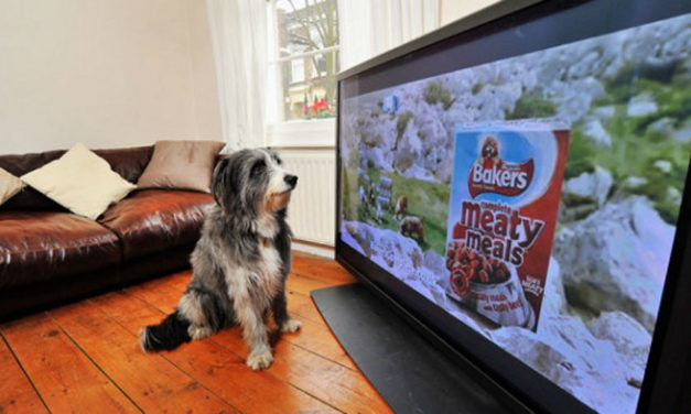 La publicidad en televisión en España baja un 4,1 por ciento