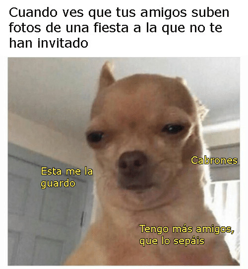 50 Memes Divertidos Para Celebrar El Cumpleanos Por Whatsapp O