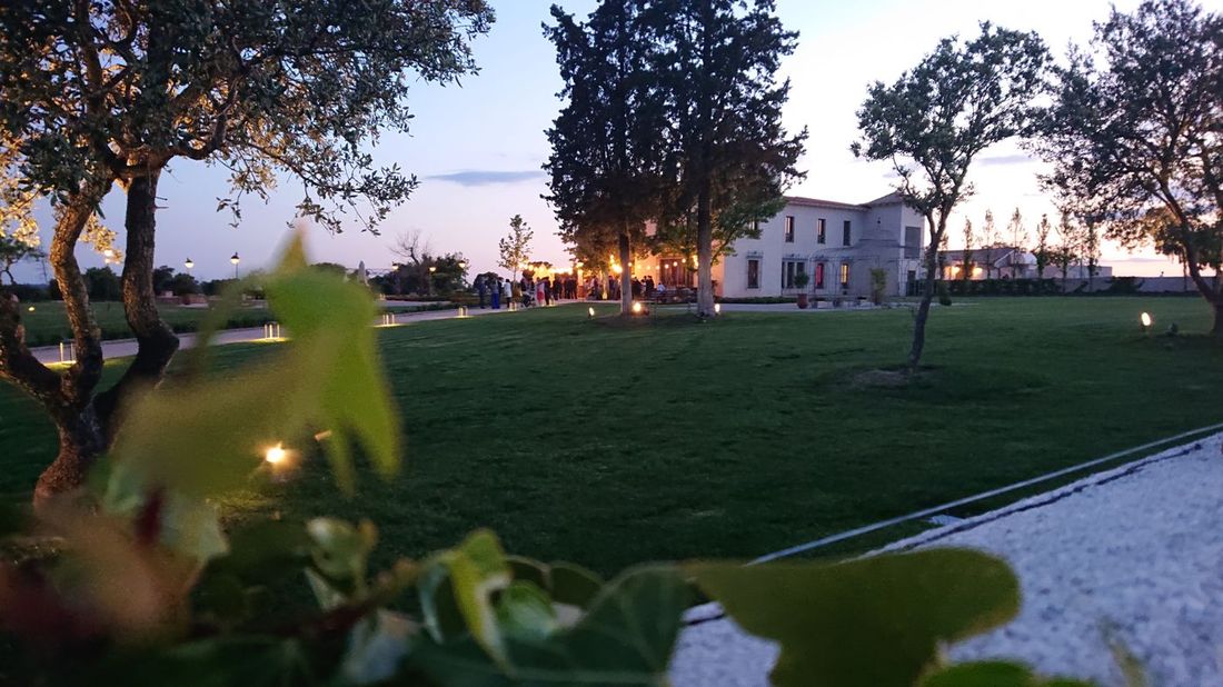 fotos-xperia-xz2-2