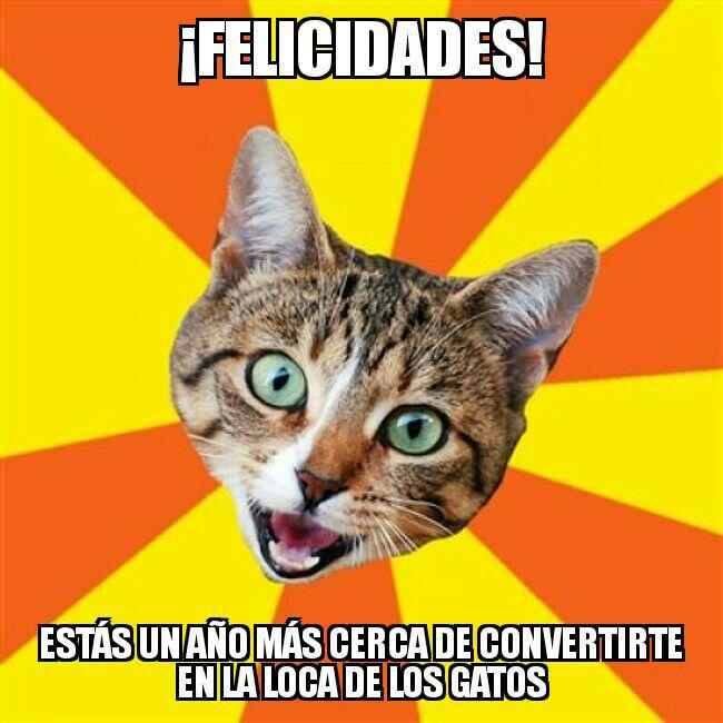 loca de los gatos meme cumpleaños felicidades