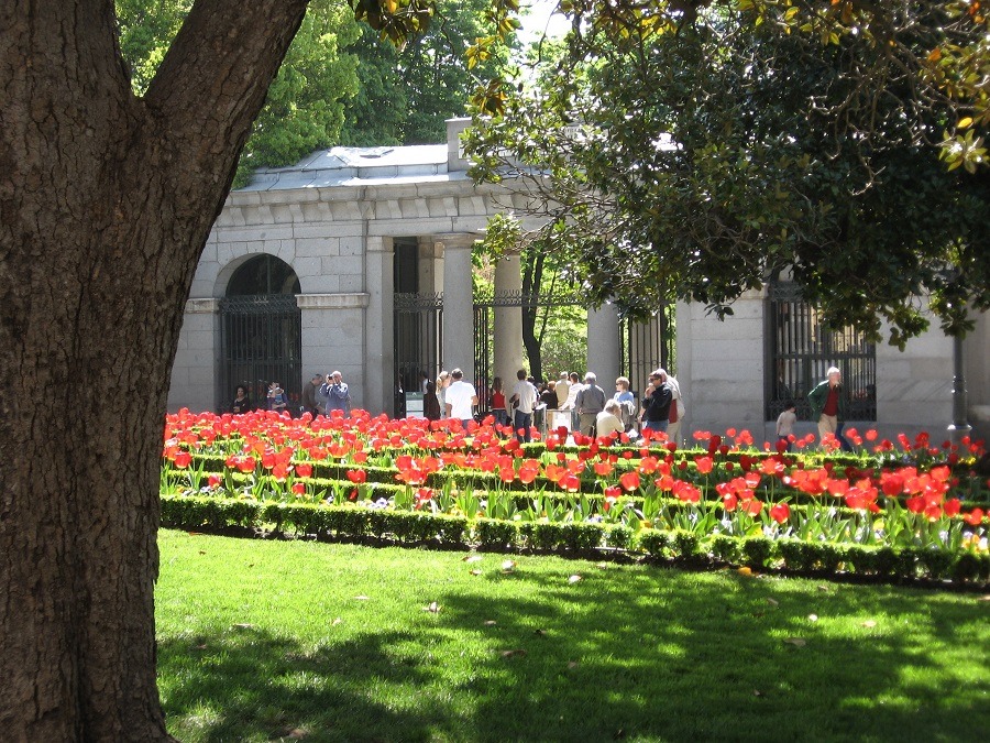 Mapas de turismo de Madrid, más de 100 mapas para imprimir y descargar 7 Real Jardín Botánico