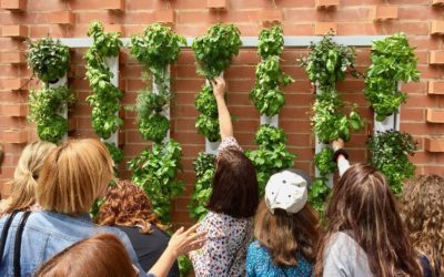 Optimus Garden, un mini huerto casero que se controla desde el móvil