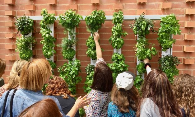 Optimus Garden, un mini huerto casero que se controla desde el móvil