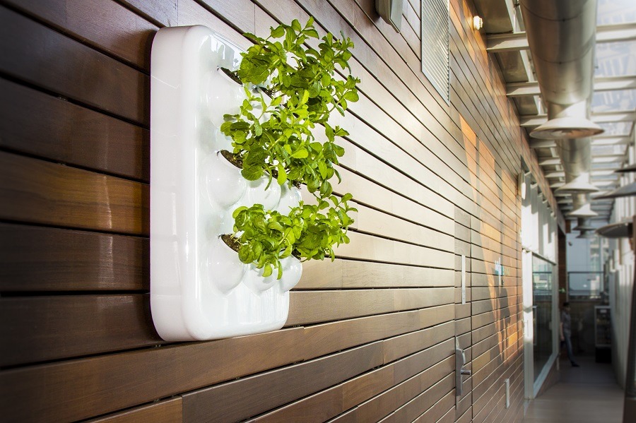 Optimus Garden, un mini huerto casero que se controla desde el móvil 3 Optimus-03