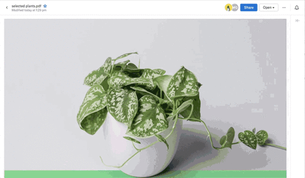 Dropbox mejora la vista previa de archivos PDF, ZIP o RAR 2 pdf
