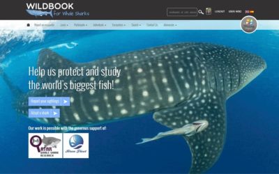 Wildbook, el Facebook de los animales en peligro de extinción