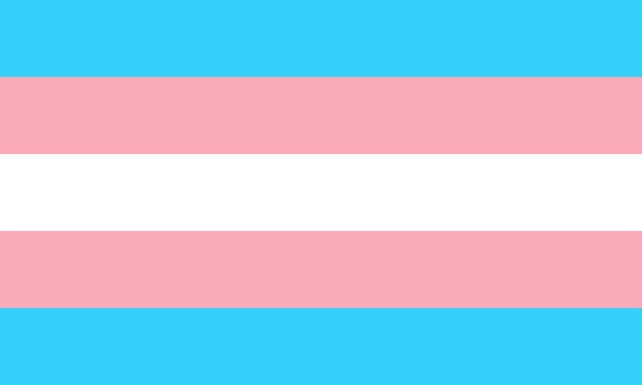 bandera trans emoji
