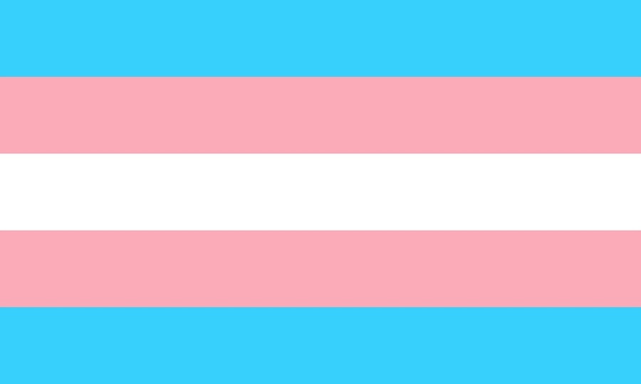 La comunidad transgénero reclama su propio emoji 2 bandera trans emoji